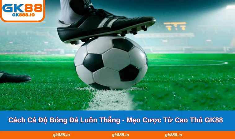 Cách Cá Độ Bóng Đá Luôn Thắng