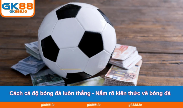 Cách Cá Độ Bóng Đá Luôn Thắng - Mẹo Cược Từ Cao Thủ GK88 1 Cách cá độ bóng đá luôn thắng - Nắm rõ kiến thức về bóng đá